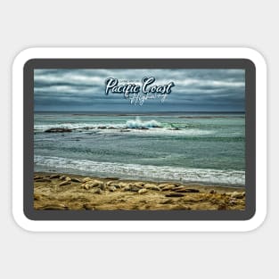 Piedras Blancas Elephant Seals Pacific Coast Highway Sticker